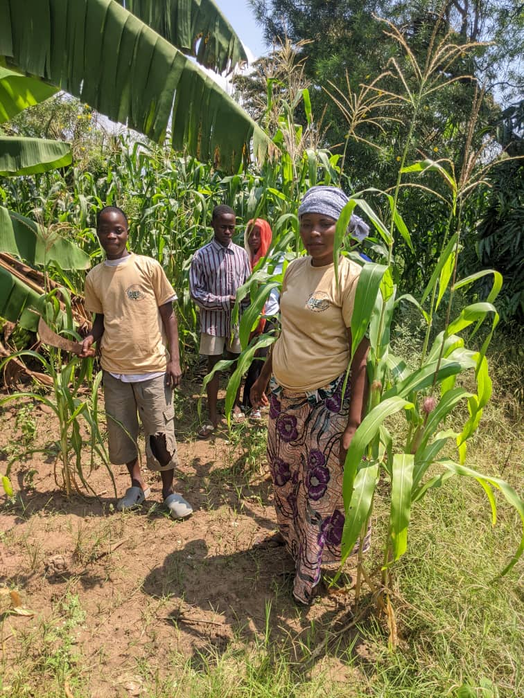 Distribution de manioc et haricots
